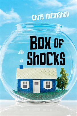 Cover image for Box of Shocks