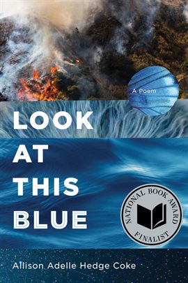 Imagen de portada para Look at This Blue