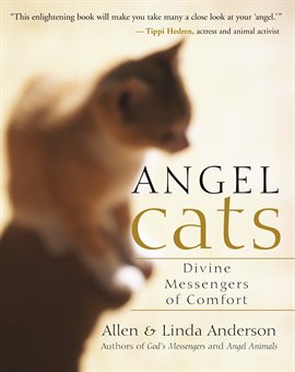 Cover image for Angel Cats