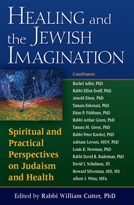 Imagen de portada para Healing and the Jewish Imagination