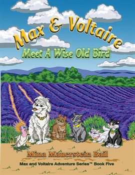 Cover image for Max & Voltaire Meet A Wise Old Bird