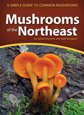 Mushrooms of the Northeast Mushrooms of the Northeast