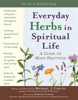 Cover image for Everyday Herbs in Spiritual Life