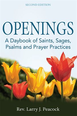 Cover image for Openings