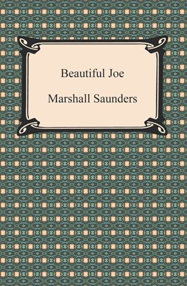 Cover image for Beautiful Joe
