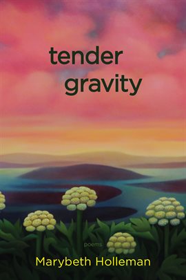 Cover image for Tender Gravity