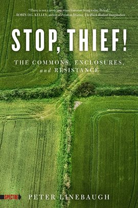 Imagen de portada para Stop, Thief!