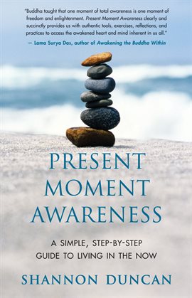 Cover image for Present Moment Awareness