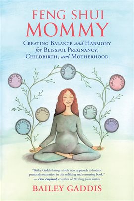 Cover image for Feng Shui Mommy