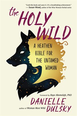 Cover image for The Holy Wild