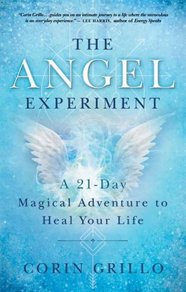 Cover image for The Angel Experiment