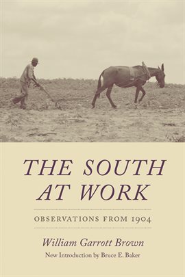 Cover image for The South at Work