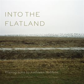 Cover image for Into the Flatland