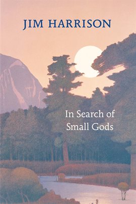 Cover image for In Search of Small Gods