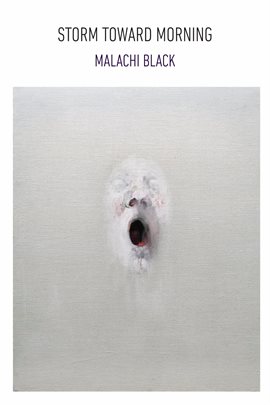 Cover image for Storm Toward Morning