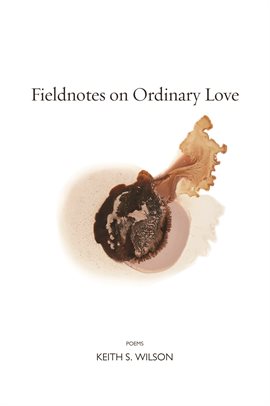 Cover image for Fieldnotes on Ordinary Love