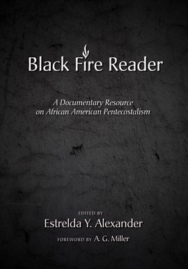 Cover image for Black Fire Reader
