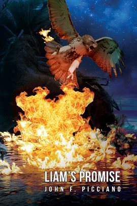 Cover image for Liam's Promise