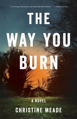 Cover image for The Way You Burn