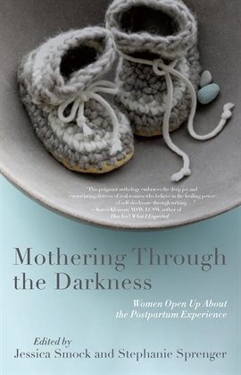 Cover image for Mothering Through the Darkness