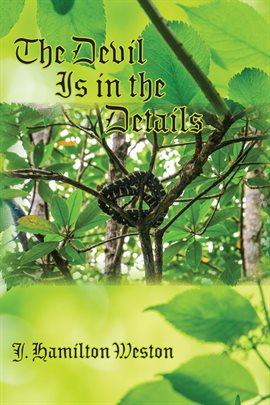 Cover image for The Devil Is in the Details