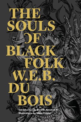 Cover image for The Souls of Black Folk