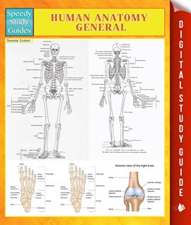 Cover image for Human Anatomy General