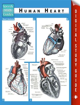 Cover image for Human Heart