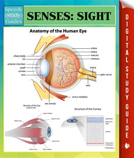 Umschlagbild für Senses: Sight