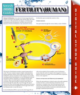 Umschlagbild für Fertility (Human)