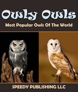 Cover image for Owly Owls