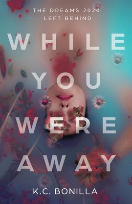 Cover image for While You Were Away