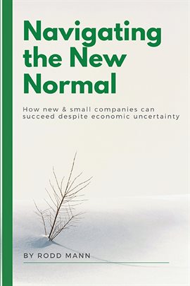 Imagen de portada para Navigating the New Normal