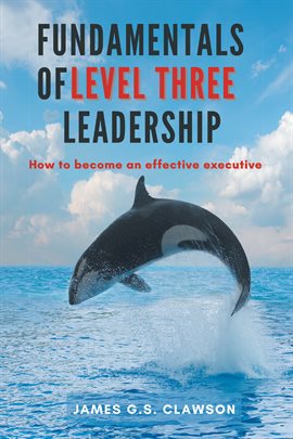 Imagen de portada para Fundamentals of Level Three Leadership