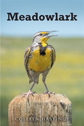 Cover image for Meadowlark