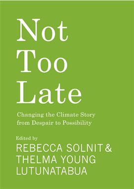 Cover image for Not Too Late