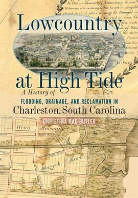 Imagen de portada para Lowcountry at High Tide