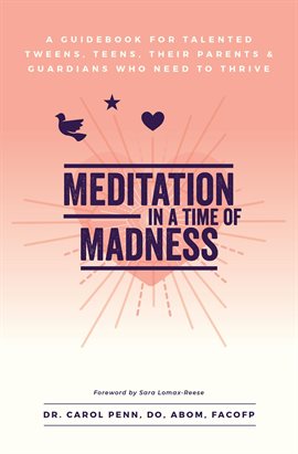 Umschlagbild für Meditation in a Time of Madness Journal