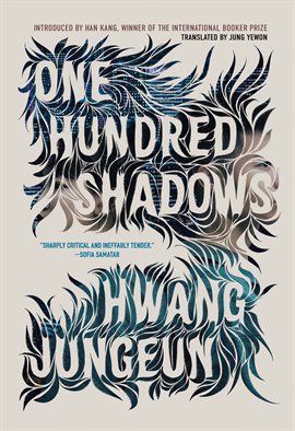 Imagen de portada para One Hundred Shadows
