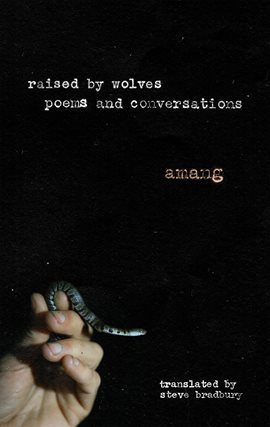 Cover image for Raised by Wolves