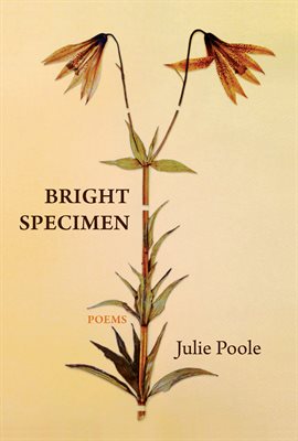 Cover image for Bright Specimen