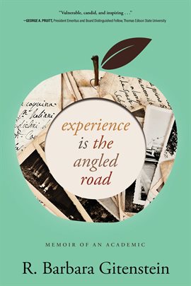 Imagen de portada para Experience Is the Angled Road