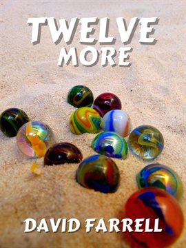 Cover image for Twelve More