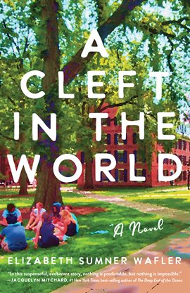 Cover image for A Cleft in the World