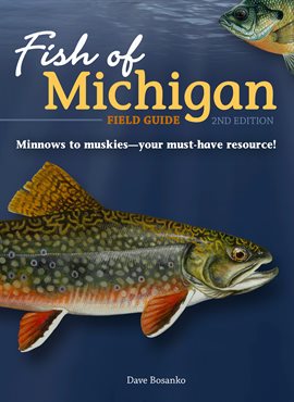 Cover image for Fish of Michigan Field Guide