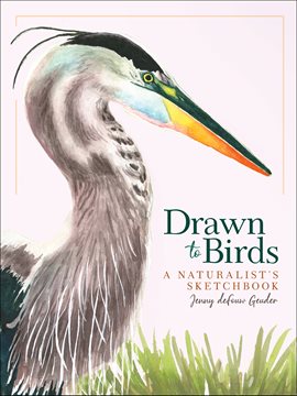 Cover image for Drawn to Birds