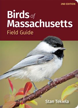 Imagen de portada para Birds of Massachusetts Field Guide