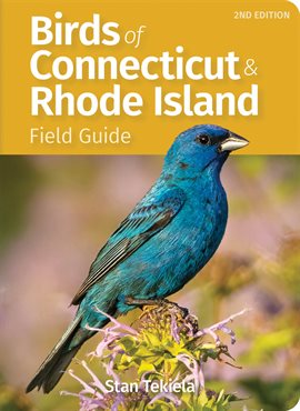 Imagen de portada para Birds of Connecticut & Rhode Island Field Guide