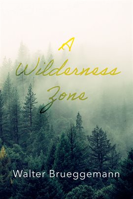Cover image for A Wilderness Zone