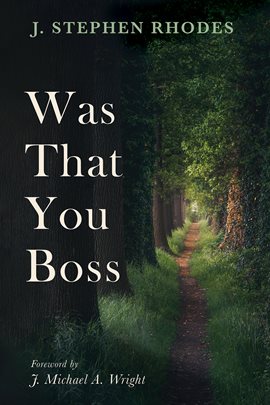 Cover image for Was That You Boss